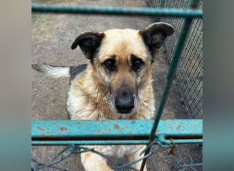 Chiku: Entspannt, entspannter, Chiku!