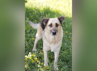 Chiku: Entspannt, entspannter, Chiku! Chiku: Entspannt, entspannter, Chiku!