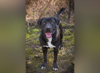 Piper: verdient eine zweite Chance