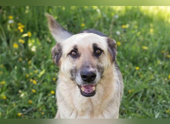 Chiku: Entspannt, entspannter, Chiku!