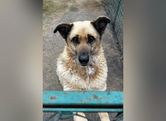 Chiku: Entspannt, entspannter, Chiku! Chiku: Entspannt, entspannter, Chiku!