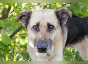 Chiku: Entspannt, entspannter, Chiku!