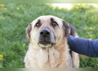 Chiku: Entspannt, entspannter, Chiku! Chiku: Entspannt, entspannter, Chiku!