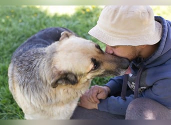 Chiku: Entspannt, entspannter, Chiku! Chiku: Entspannt, entspannter, Chiku!