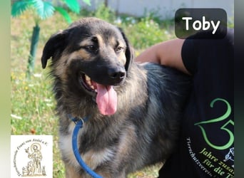 Toby – hat Pläne … große!