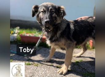 Toby hat Pläne … große!