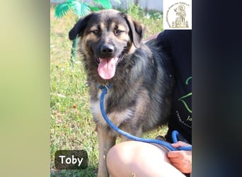 Toby – hat Pläne … große!