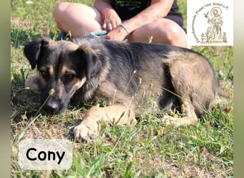 Cony – klug, klar, charakterstark!
