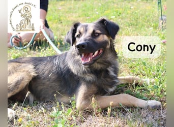 Cony – klug, klar, charakterstark!