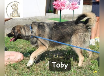 Toby – hat Pläne … große!