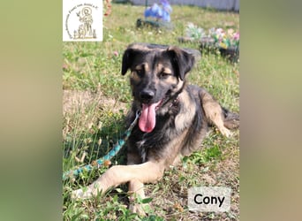 Cony – klug, klar, charakterstark!
