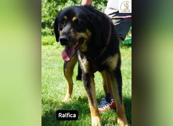Ralfica – Manchmal braucht ein Herz nur den richtigen Menschen!