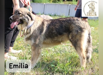 Emilia – mit Klarheit, Herz & Verantwortung durchs Leben!