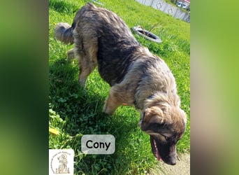 Cony – klug, klar, charakterstark!