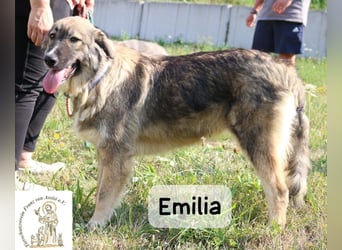 Emilia – mit Klarheit, Herz & Verantwortung durchs Leben!