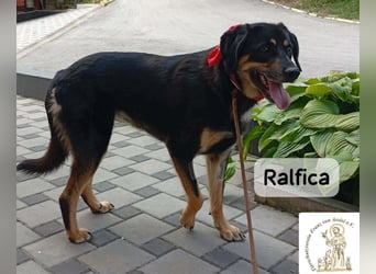 Ralfica – Manchmal braucht ein Herz nur den richtigen Menschen!