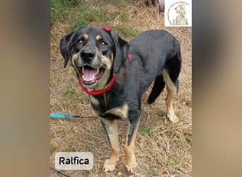 Ralfica – Manchmal braucht ein Herz nur den richtigen Menschen!