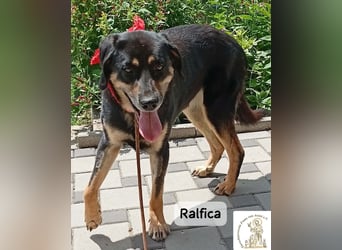 Ralfica – Manchmal braucht ein Herz nur den richtigen Menschen!
