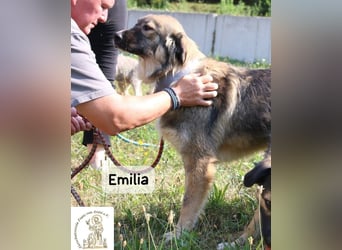 Emilia – mit Klarheit, Herz & Verantwortung durchs Leben!