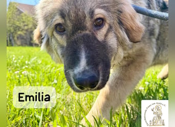 Emilia – mit Klarheit, Herz und Verantwortung durchs Leben!