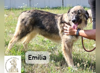 Emilia – mit Klarheit, Herz & Verantwortung durchs Leben!