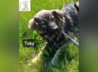 Toby hat Pläne … große!