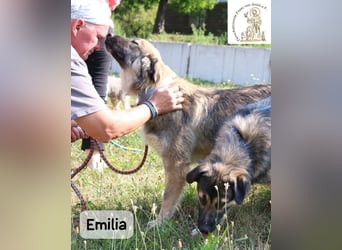 Emilia – mit Klarheit, Herz & Verantwortung durchs Leben!