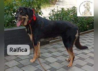 Ralfica – Manchmal braucht ein Herz nur den richtigen Menschen!