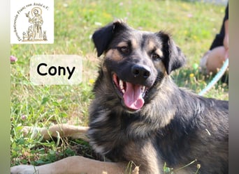 Cony – klug, klar, charakterstark!