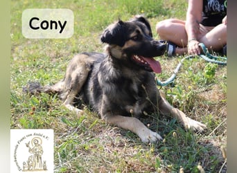 Cony – klug, klar, charakterstark!