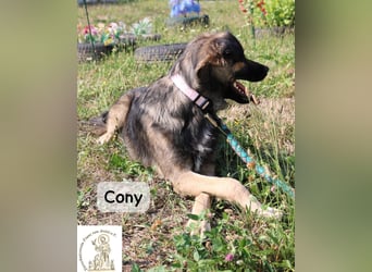 Cony – klug, klar, charakterstark!