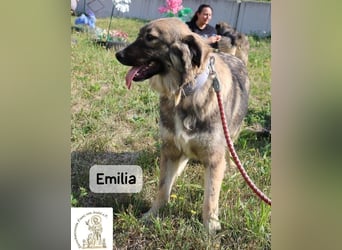 Emilia – mit Klarheit, Herz & Verantwortung durchs Leben!