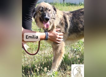 Emilia – mit Klarheit, Herz & Verantwortung durchs Leben!