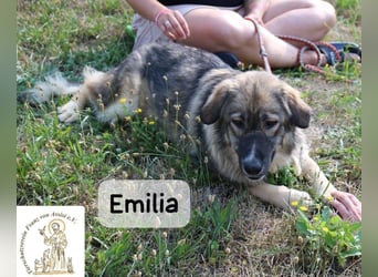 Emilia – mit Klarheit, Herz & Verantwortung durchs Leben!