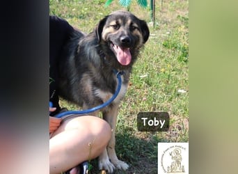 Toby – hat Pläne … große!