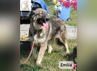 Emilia – mit Klarheit, Herz & Verantwortung durchs Leben!