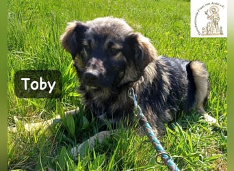 Toby hat Pläne … große!