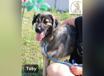 Toby – hat Pläne … große!