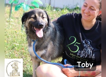Toby – hat Pläne … große!