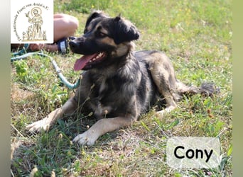 Cony – klug, klar, charakterstark!