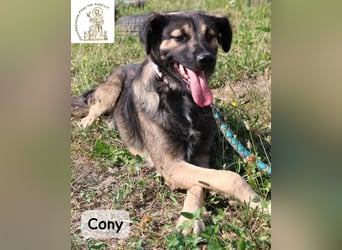 Cony – klug, klar, charakterstark!