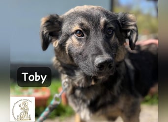 Toby hat Pläne … große!