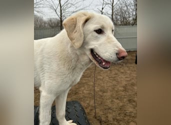 Cuki ist bereit für ihr neues Leben