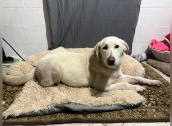 Cuki ist bereit für ihr neues Leben