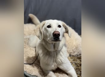 Cuki ist bereit für ihr neues Leben