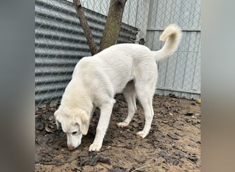 Cuki ist bereit für ihr neues Leben