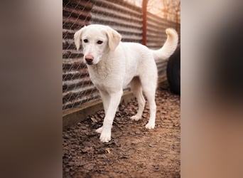 Cuki ist bereit für ihr neues Leben