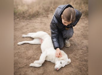 Cuki ist bereit für ihr neues Leben