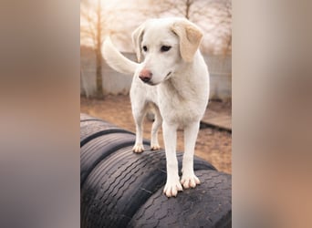 Cuki ist bereit für ihr neues Leben