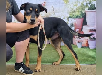 Kannst du Anubis dein Herz schenken?